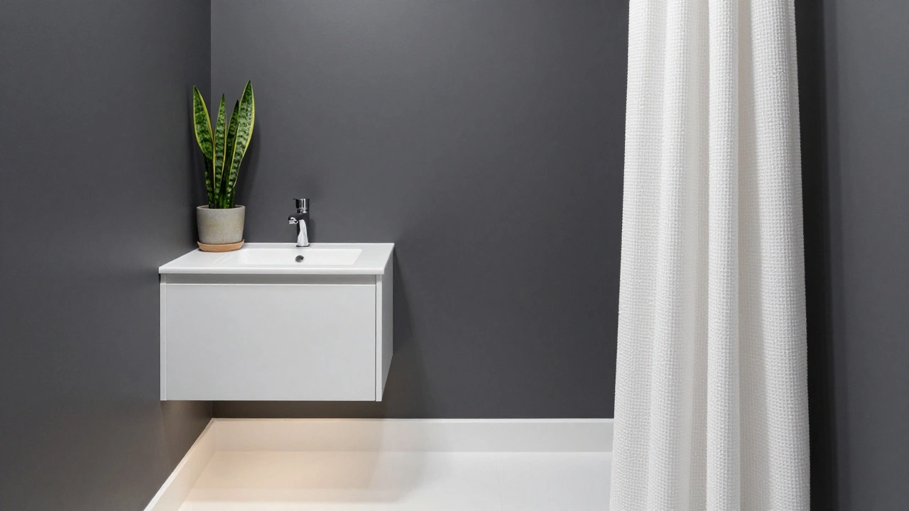 Small modern bathroom with charcoal walls, floating vanity, and a snake plant